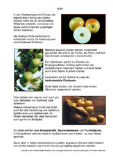 Apfel.pdf